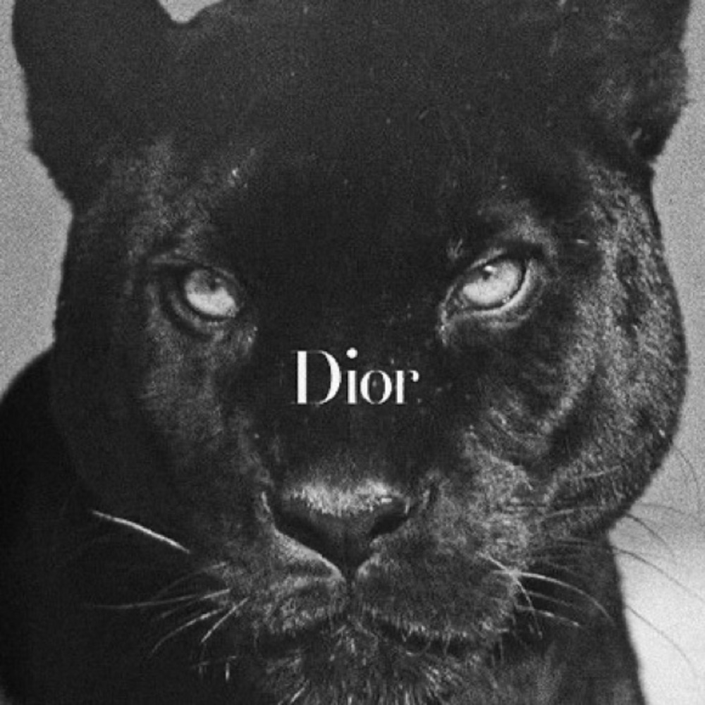 Flyer, show information and times 💗⭐️🤍 - Picture 5 of 9